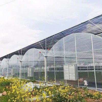 平頂山外遮陽連棟大棚