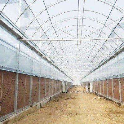 養殖大棚