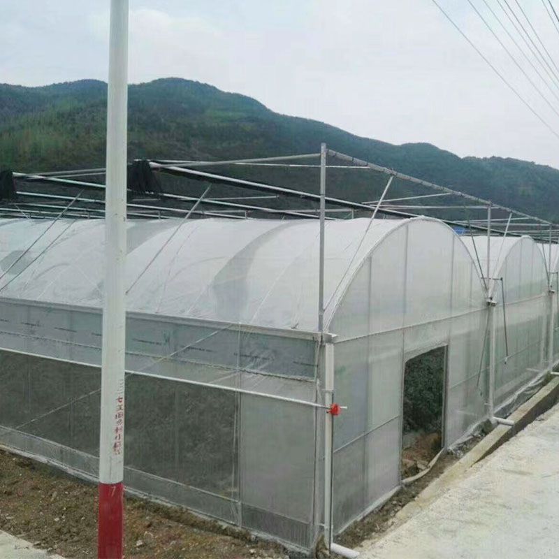 平頂山外遮陽連棟大棚