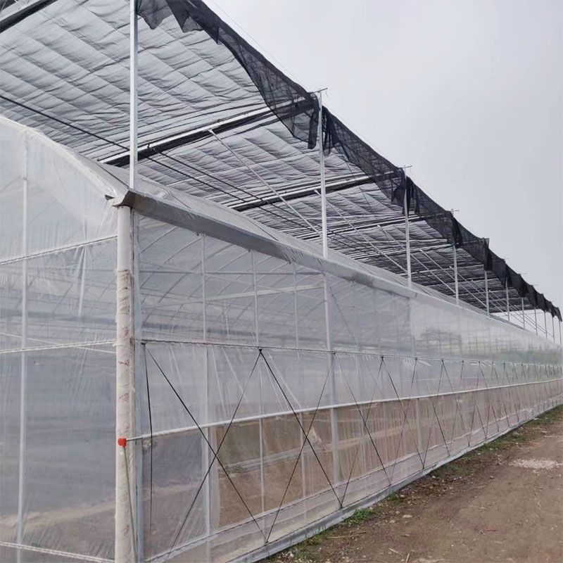 平頂山外遮陽連棟大棚