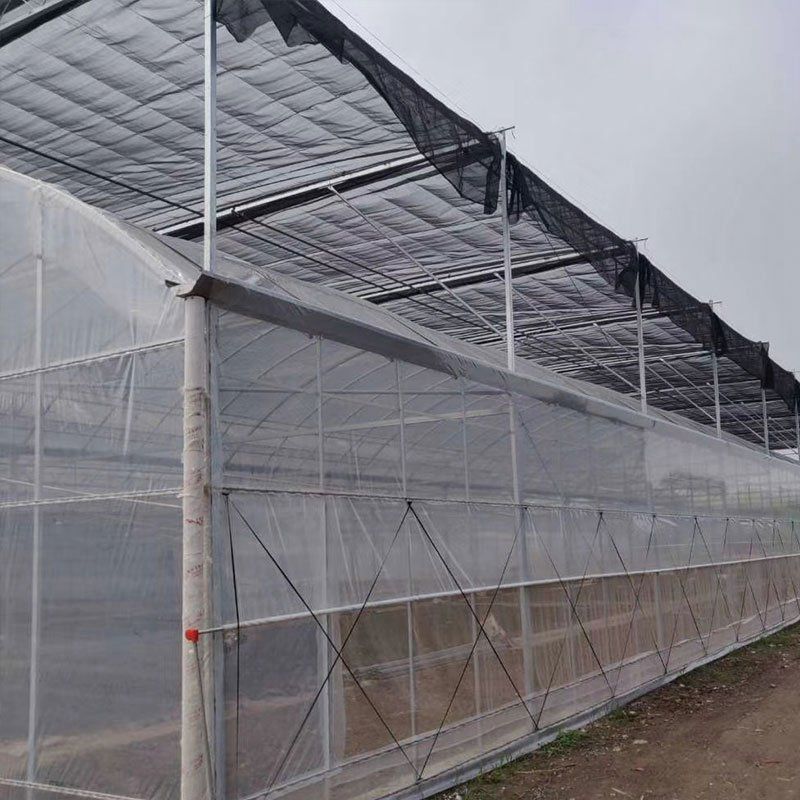 古交外遮陽大棚