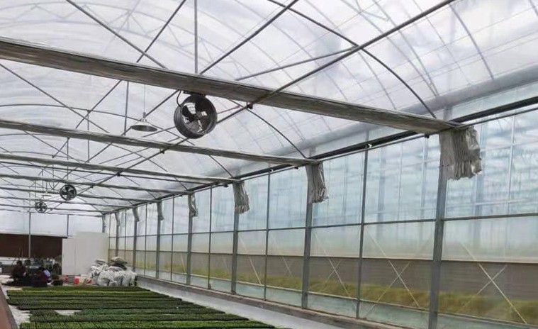 古交連棟溫室大棚