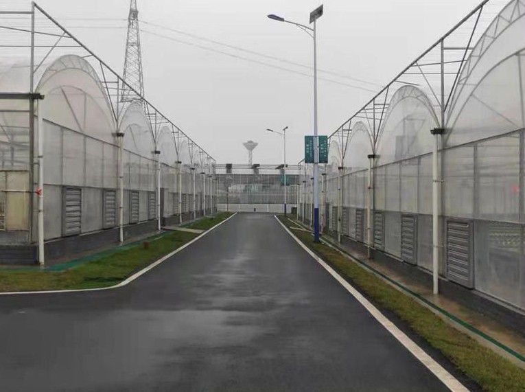古交連棟溫室大棚