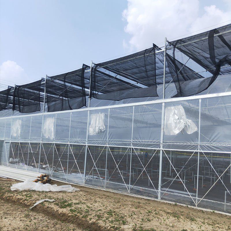 古交外遮陽大棚