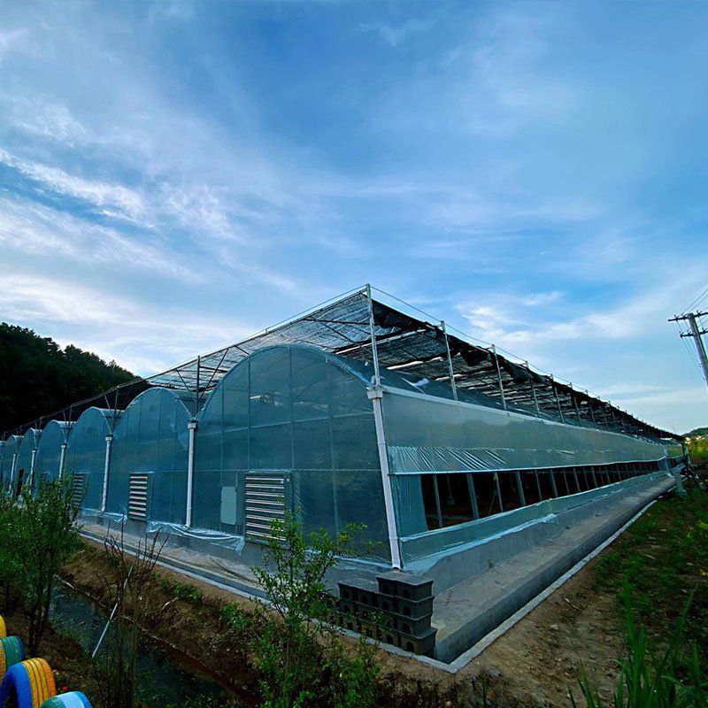 古交溫室工程