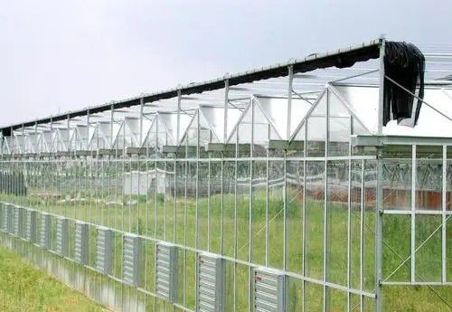 古交連棟溫室大棚