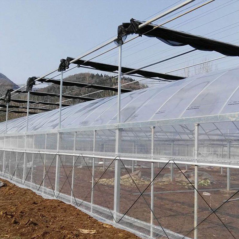 古交外遮陽大棚