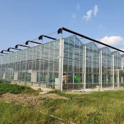 古交連棟溫室大棚