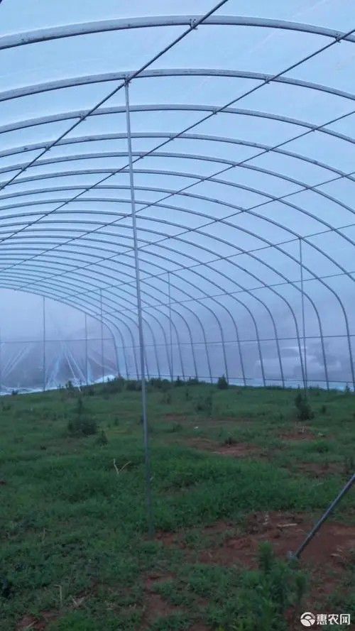 古交橢圓管大棚