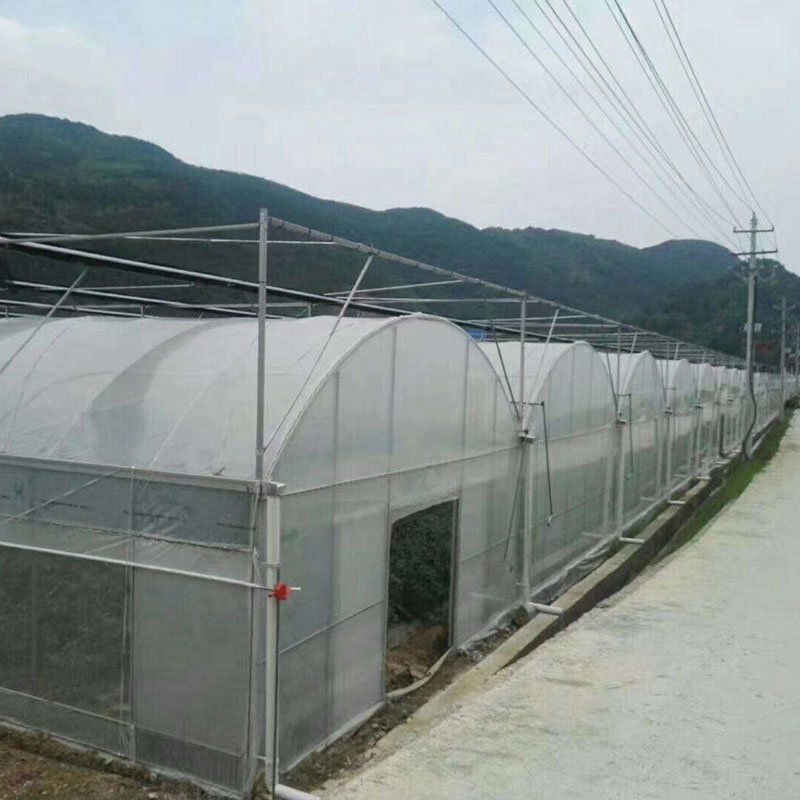 平頂山外遮陽連棟大棚