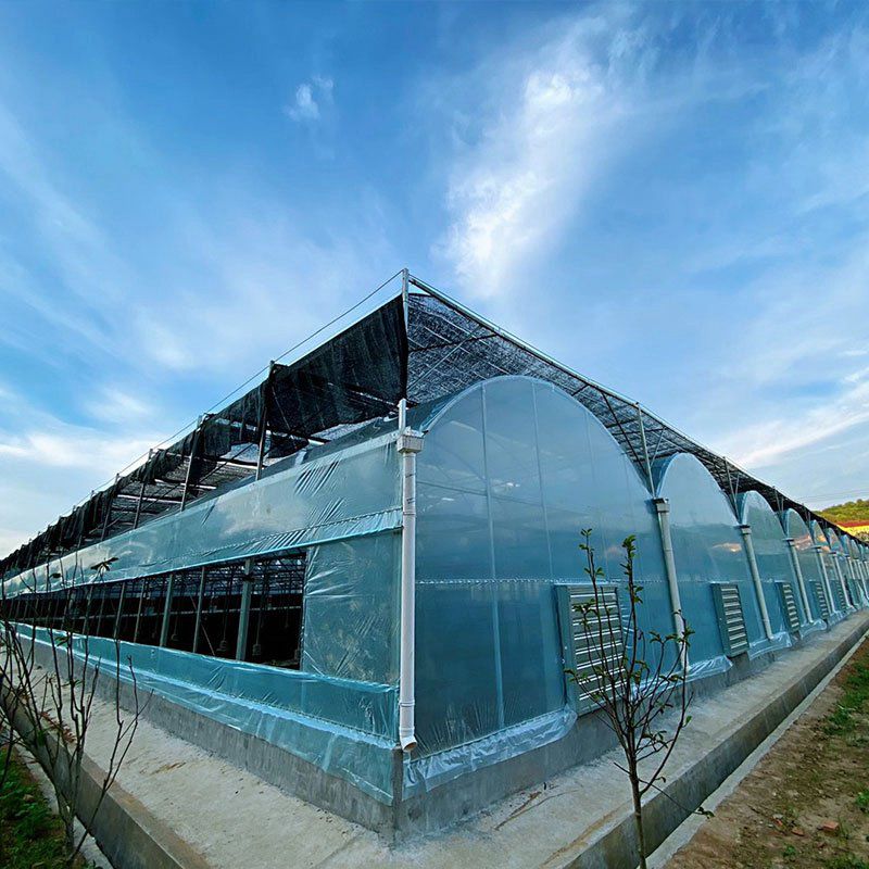 古交外遮陽大棚