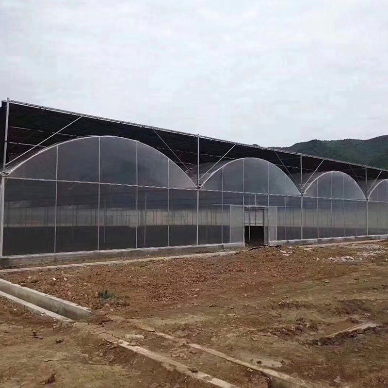 平頂山外遮陽連棟大棚