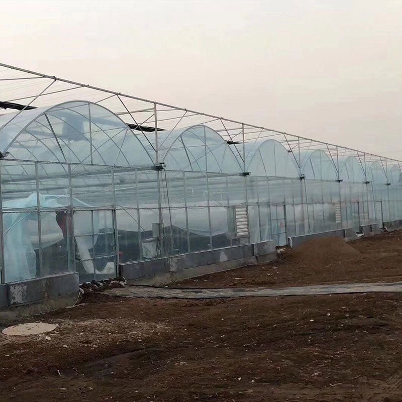 平頂山外遮陽連棟大棚