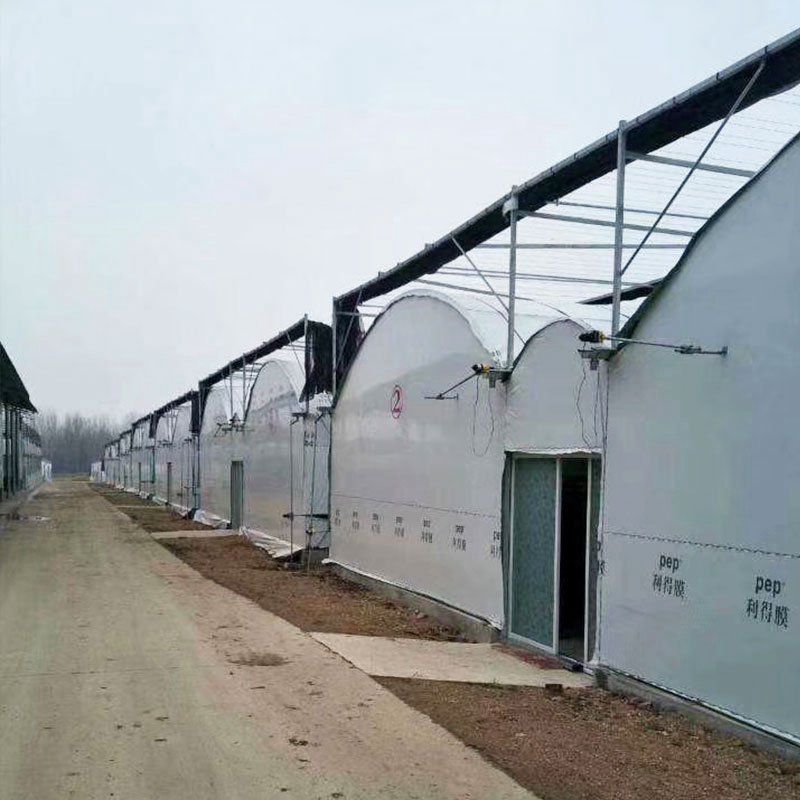 平頂山外遮陽連棟大棚