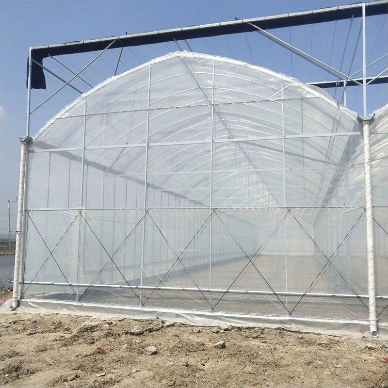 古交外遮陽大棚