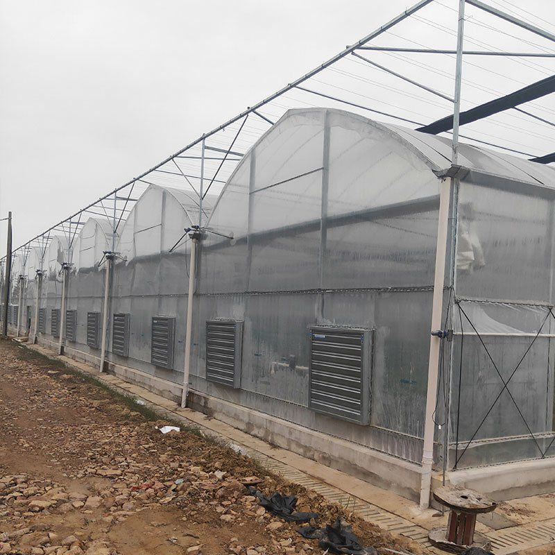 古交外遮陽大棚