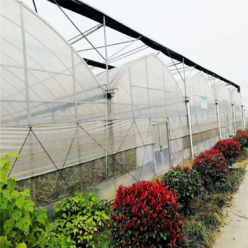 平頂山花卉大棚