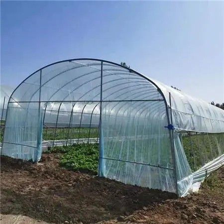 古交橢圓管大棚